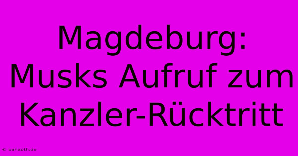 Magdeburg:  Musks Aufruf Zum Kanzler-Rücktritt