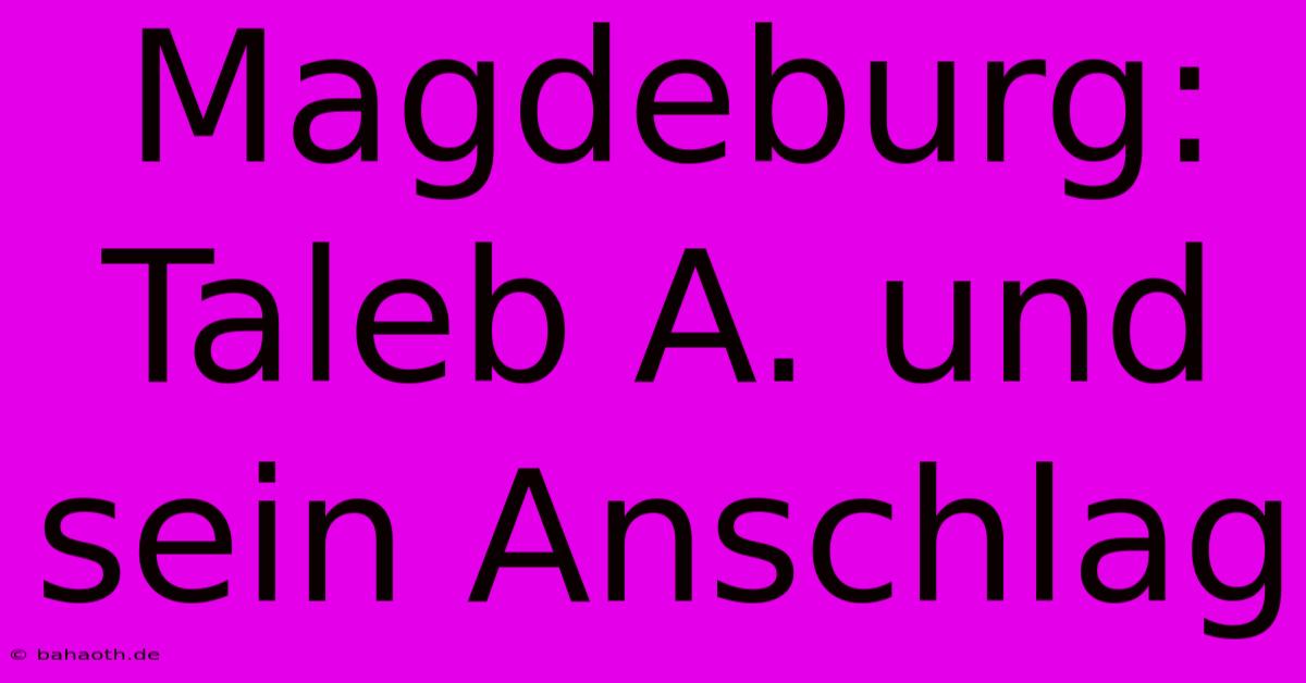 Magdeburg:  Taleb A. Und Sein Anschlag