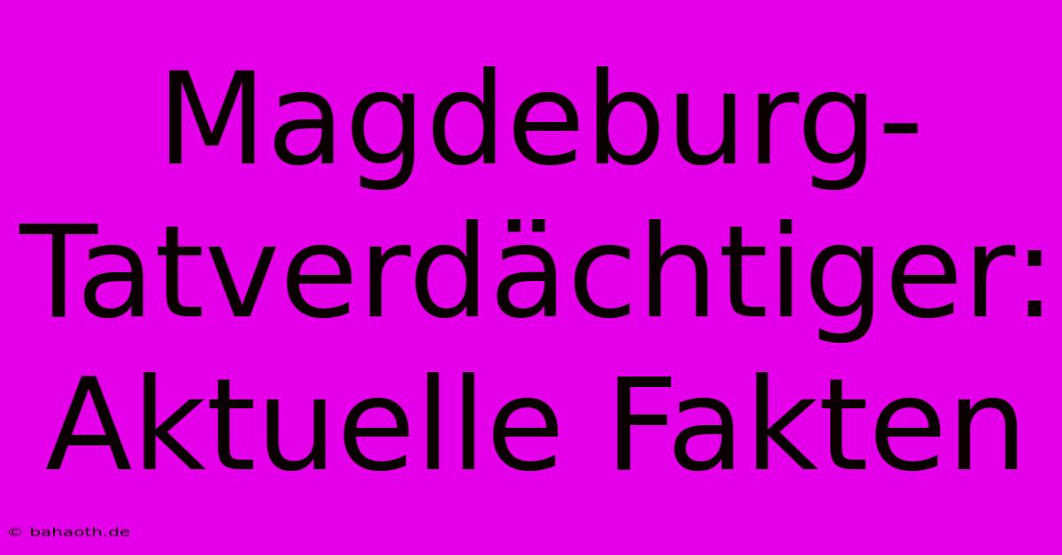 Magdeburg-Tatverdächtiger: Aktuelle Fakten