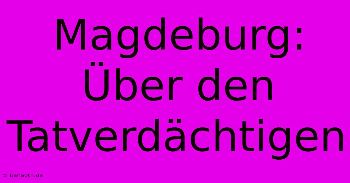 Magdeburg:  Über Den Tatverdächtigen