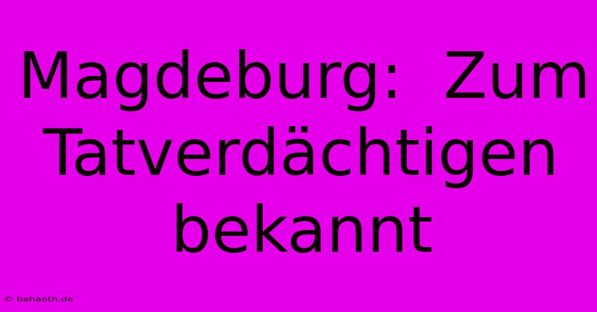 Magdeburg:  Zum Tatverdächtigen Bekannt