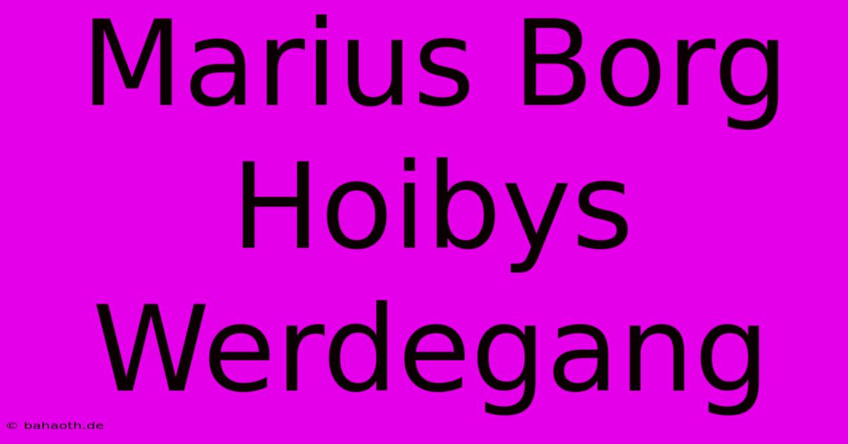 Marius Borg Hoibys Werdegang