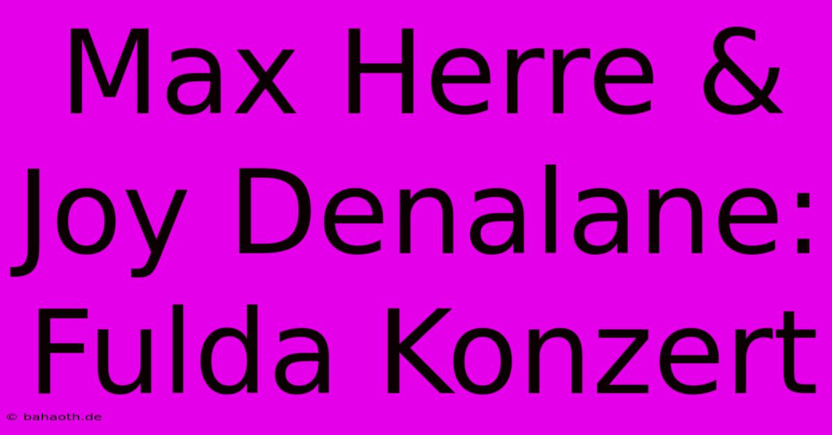 Max Herre & Joy Denalane: Fulda Konzert