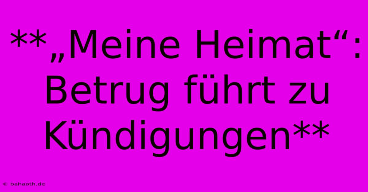 **„Meine Heimat“: Betrug Führt Zu Kündigungen**