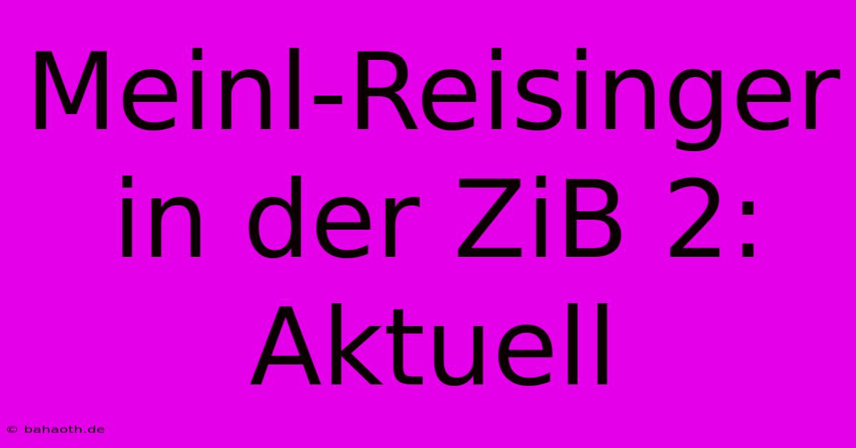 Meinl-Reisinger In Der ZiB 2:  Aktuell