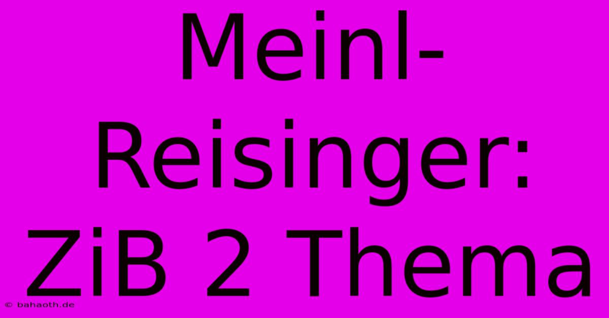 Meinl-Reisinger: ZiB 2 Thema