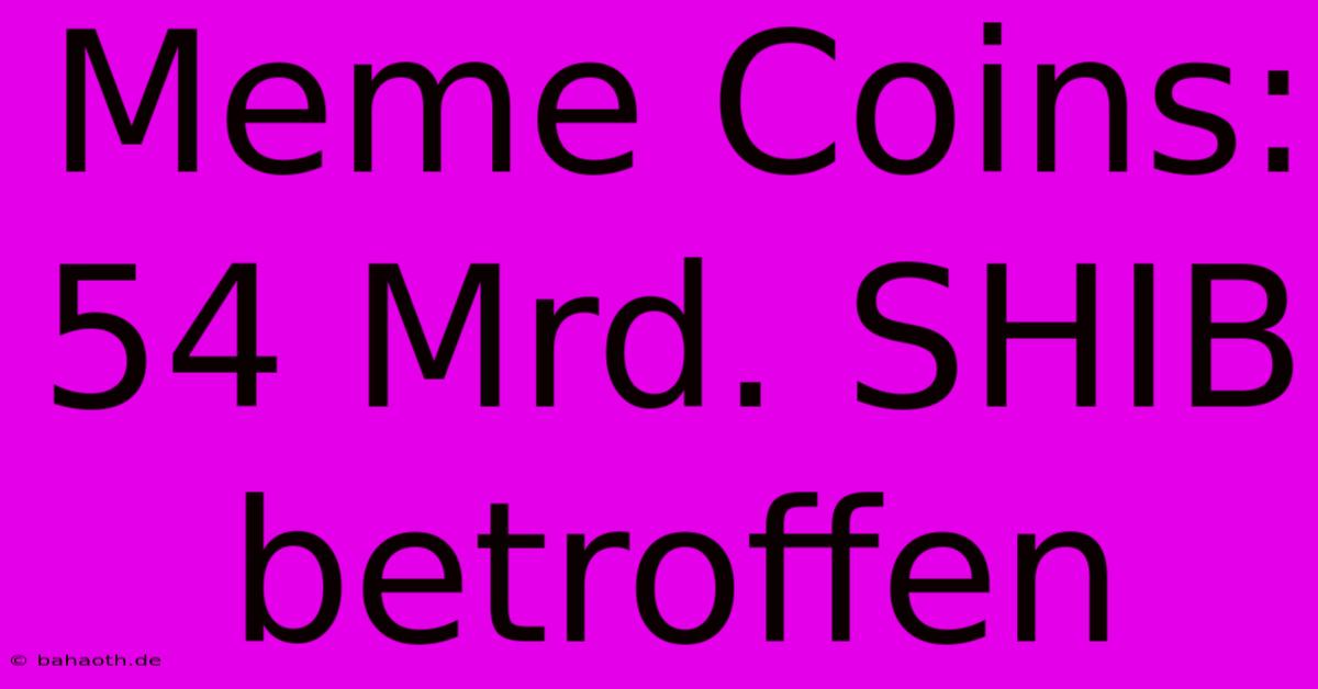 Meme Coins: 54 Mrd. SHIB Betroffen