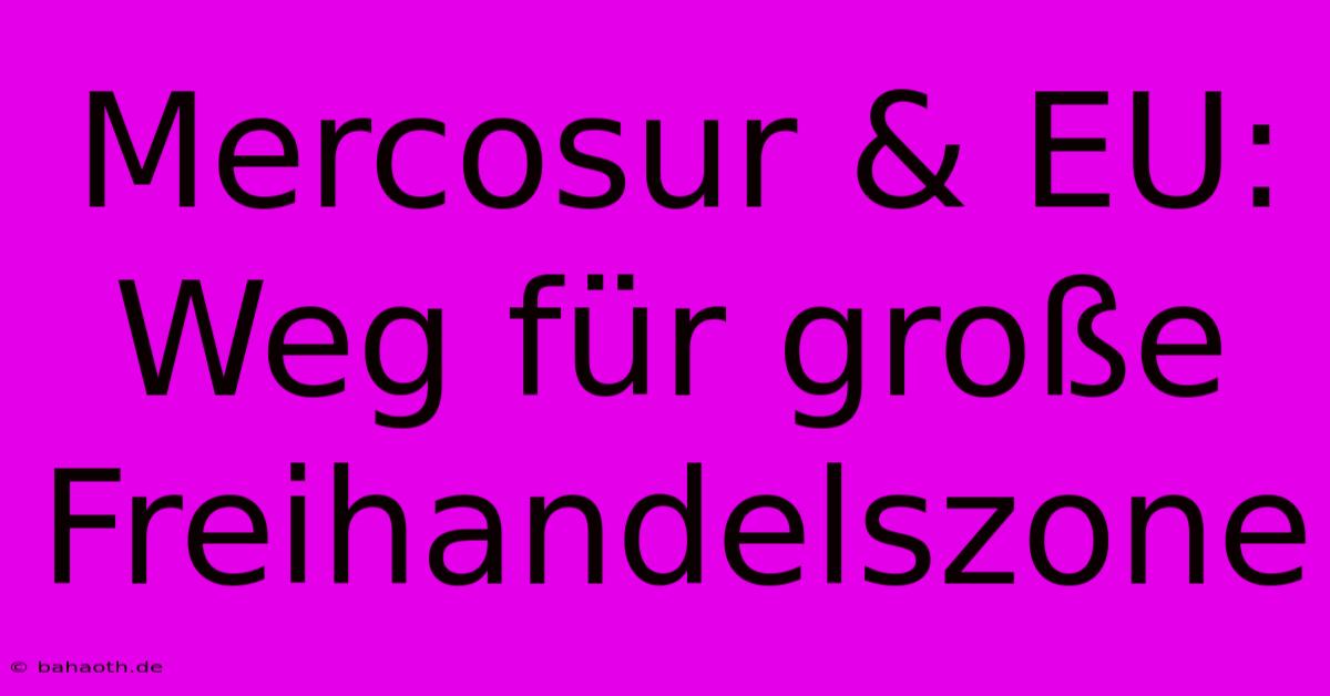 Mercosur & EU: Weg Für Große Freihandelszone