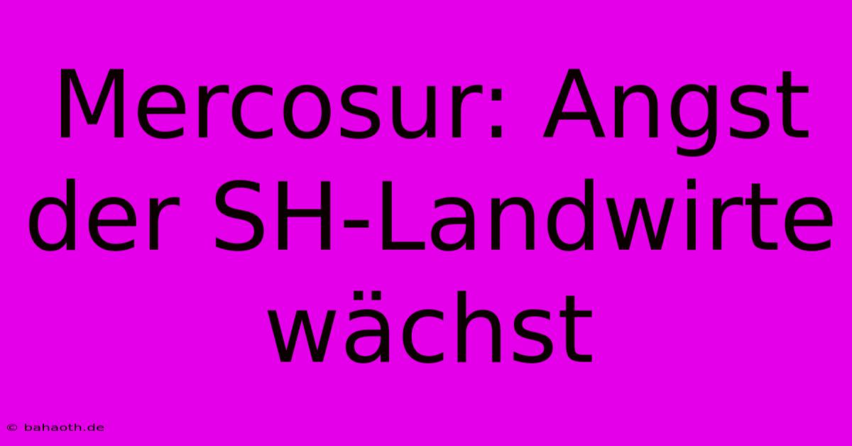 Mercosur: Angst Der SH-Landwirte Wächst