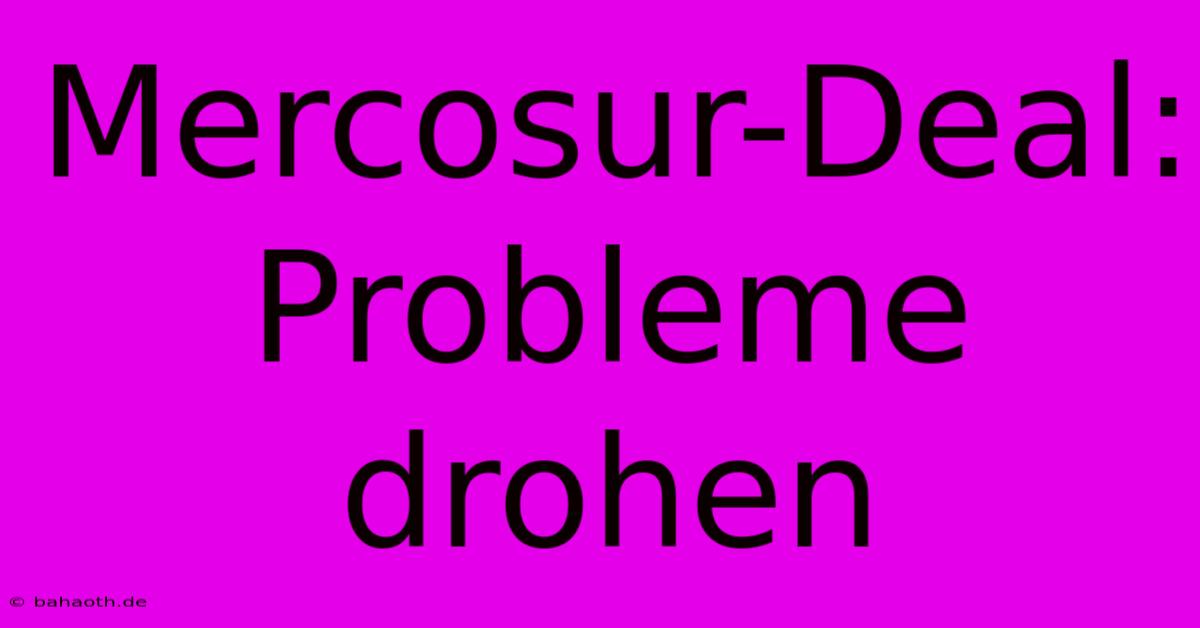 Mercosur-Deal: Probleme Drohen