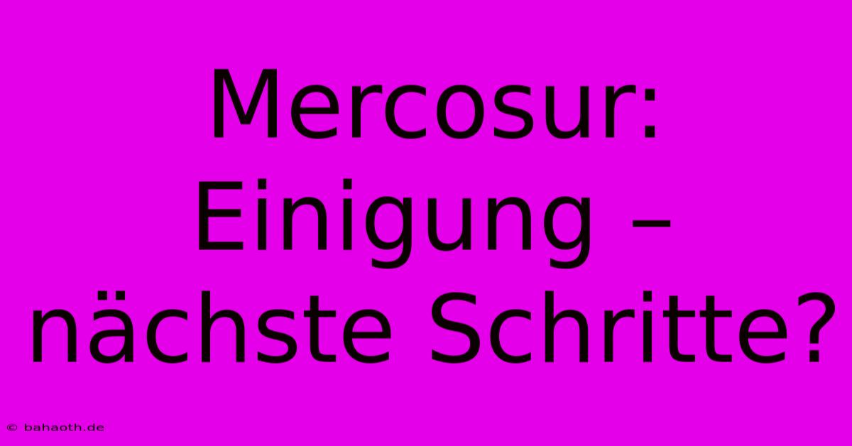 Mercosur:  Einigung –  Nächste Schritte?