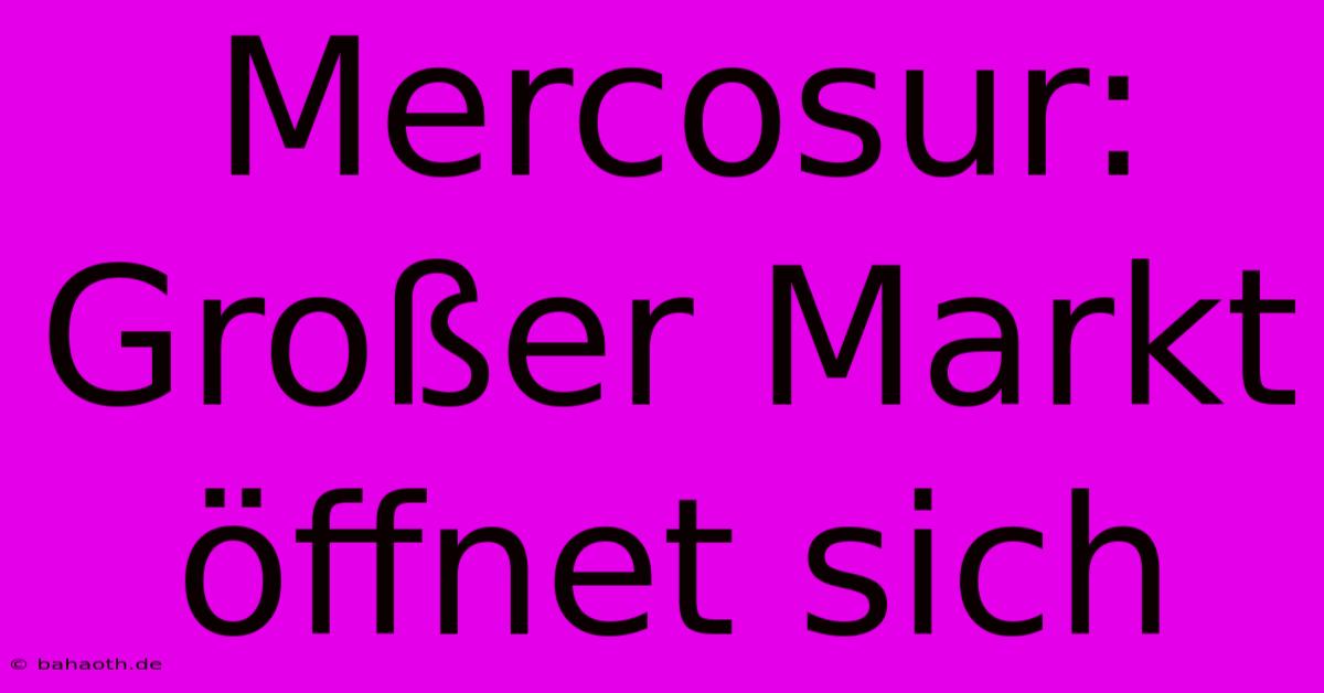 Mercosur: Großer Markt Öffnet Sich