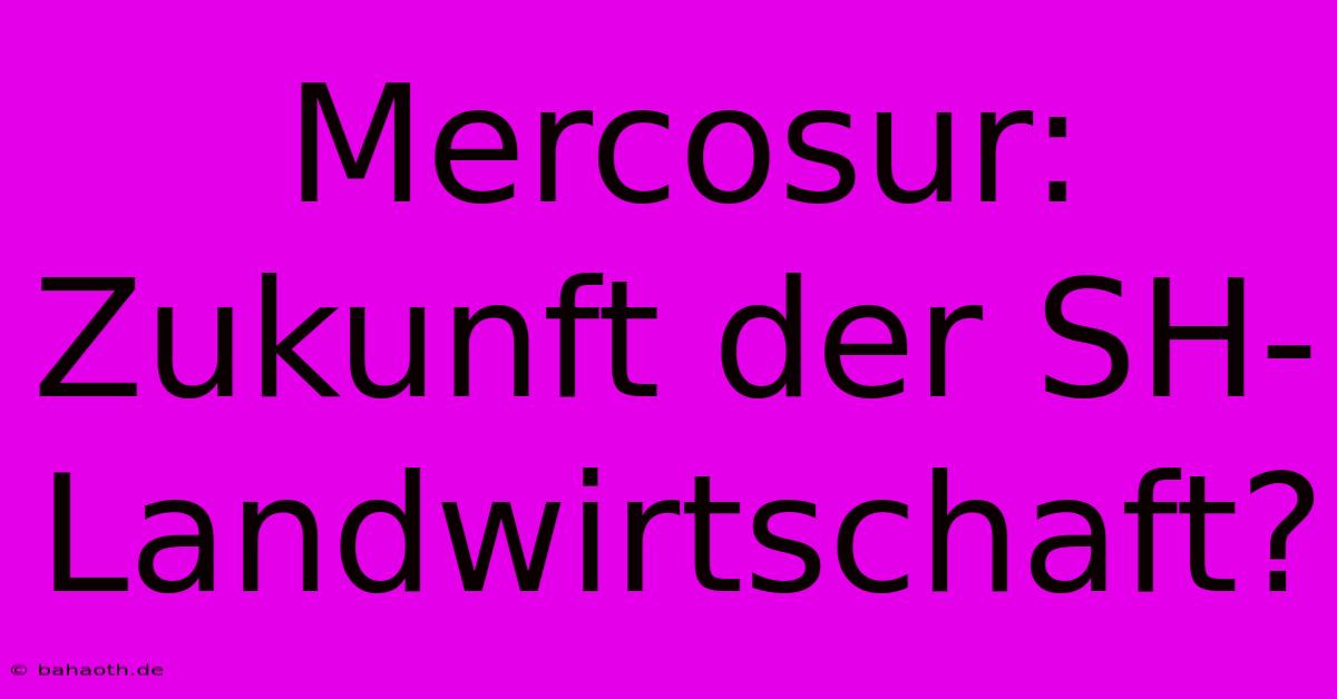 Mercosur: Zukunft Der SH-Landwirtschaft?