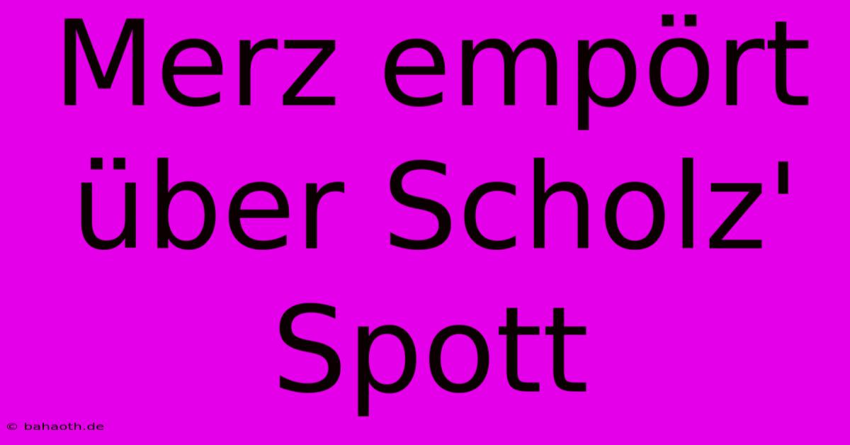 Merz Empört Über Scholz' Spott