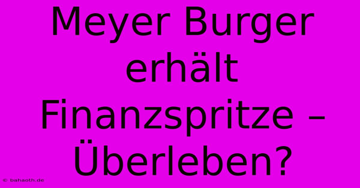 Meyer Burger Erhält Finanzspritze – Überleben?