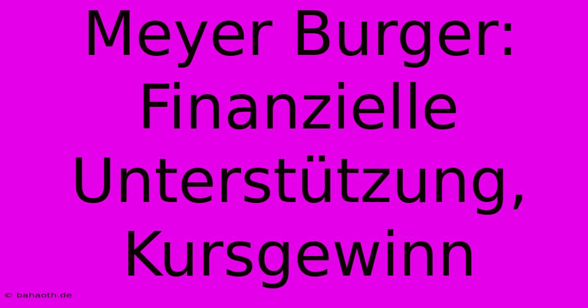 Meyer Burger: Finanzielle Unterstützung, Kursgewinn