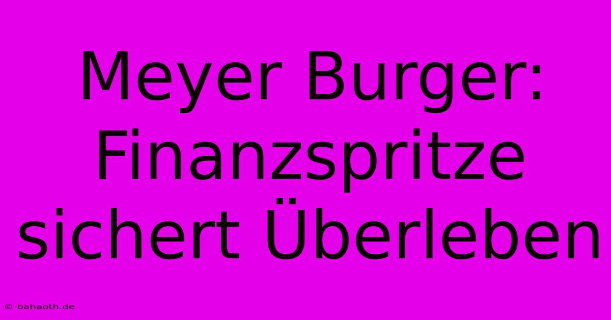 Meyer Burger: Finanzspritze Sichert Überleben