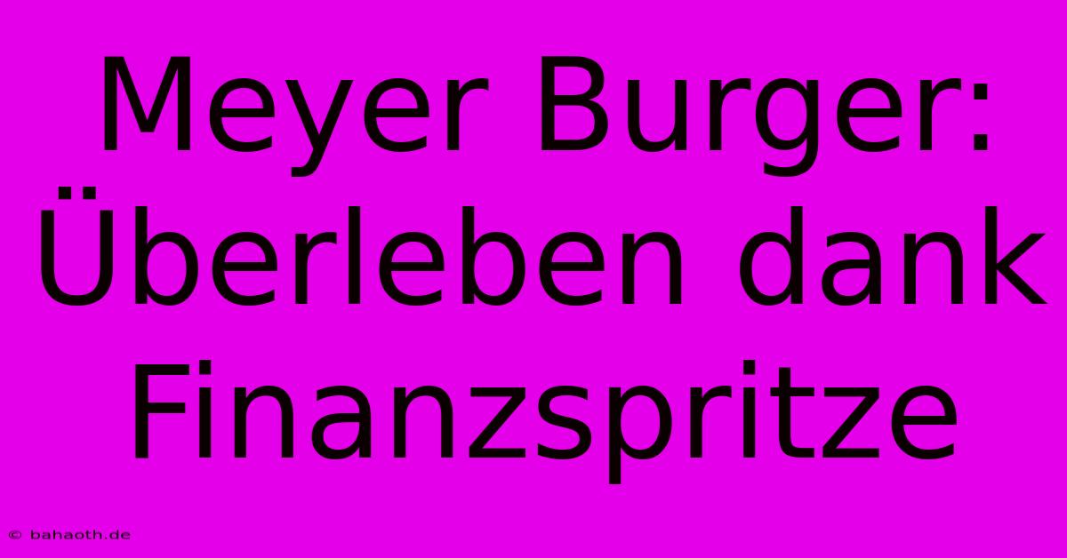 Meyer Burger: Überleben Dank Finanzspritze