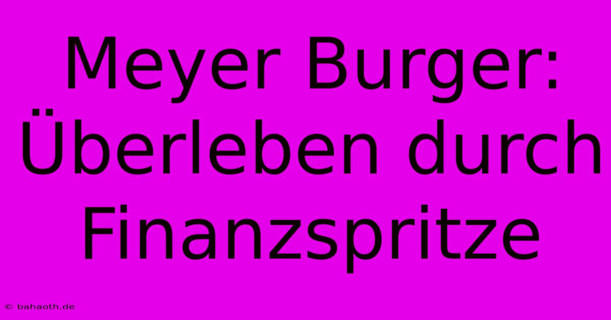 Meyer Burger: Überleben Durch Finanzspritze