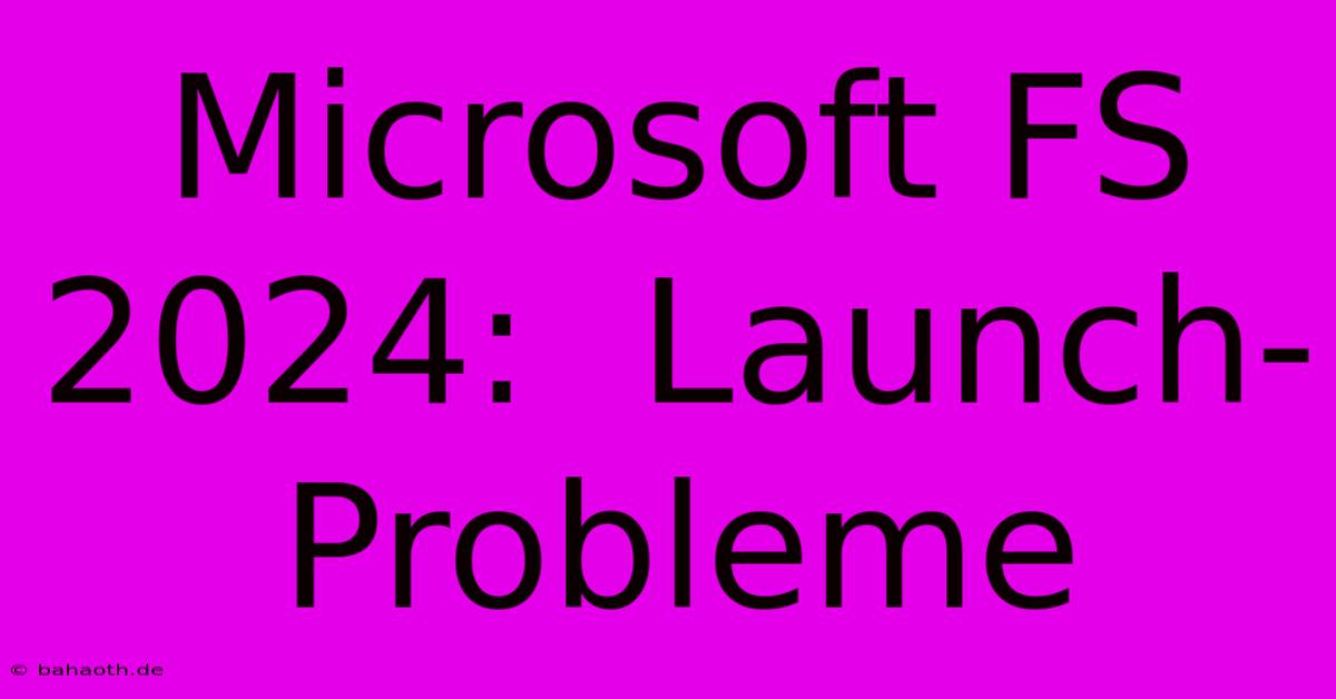 Microsoft FS 2024:  Launch-Probleme