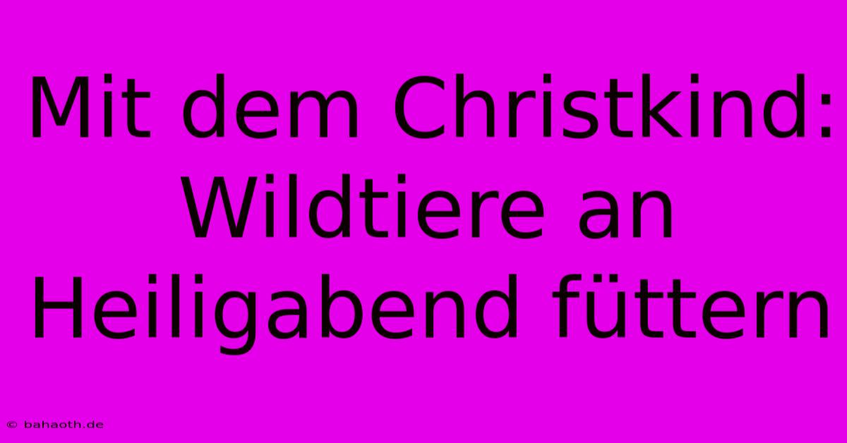 Mit Dem Christkind: Wildtiere An Heiligabend Füttern