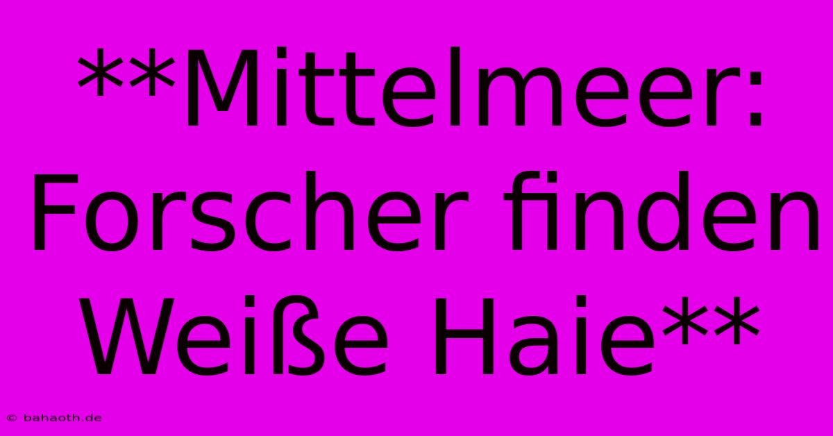 **Mittelmeer: Forscher Finden Weiße Haie**