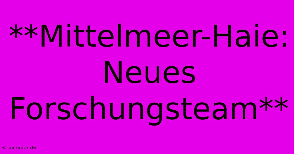 **Mittelmeer-Haie: Neues Forschungsteam**