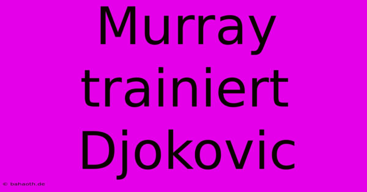 Murray Trainiert Djokovic