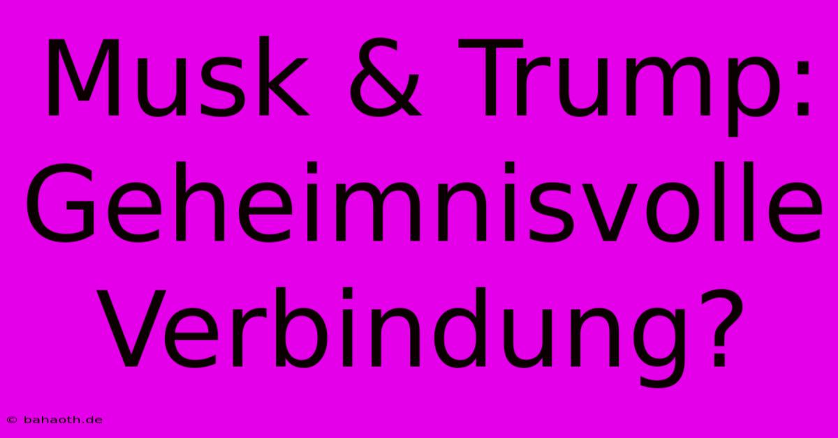 Musk & Trump: Geheimnisvolle Verbindung?