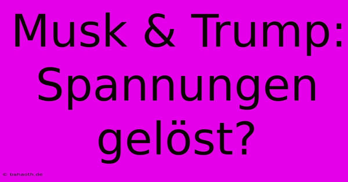 Musk & Trump:  Spannungen Gelöst?