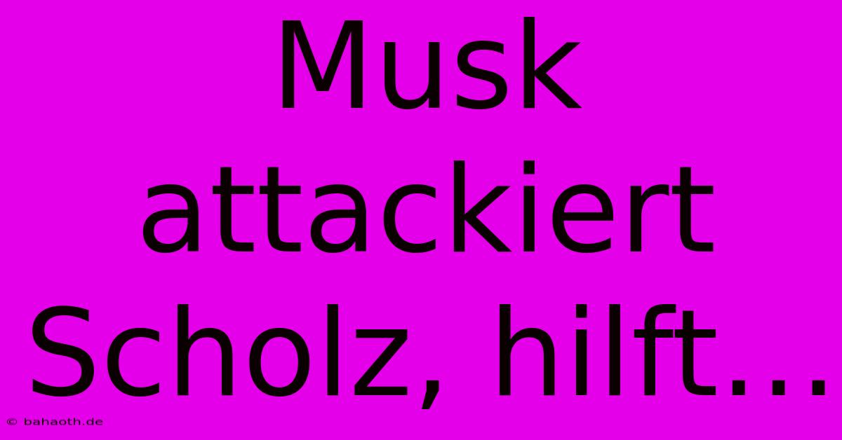 Musk Attackiert Scholz, Hilft…