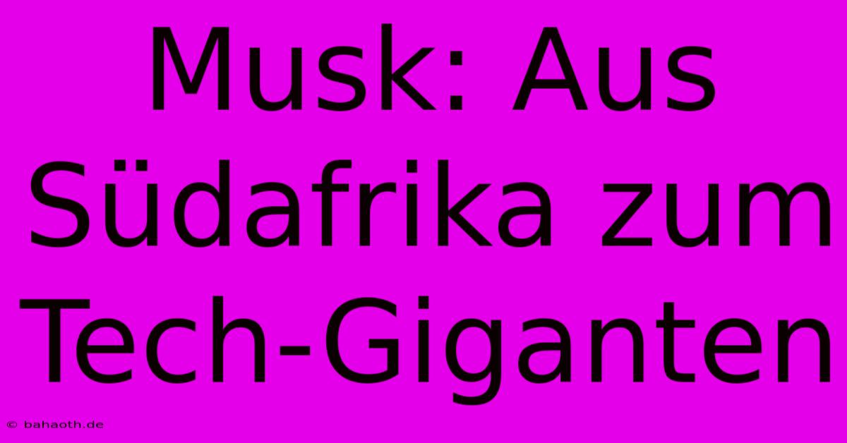 Musk: Aus Südafrika Zum Tech-Giganten