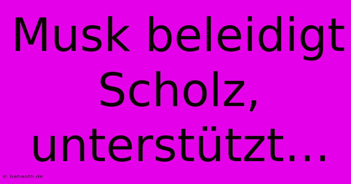 Musk Beleidigt Scholz, Unterstützt…