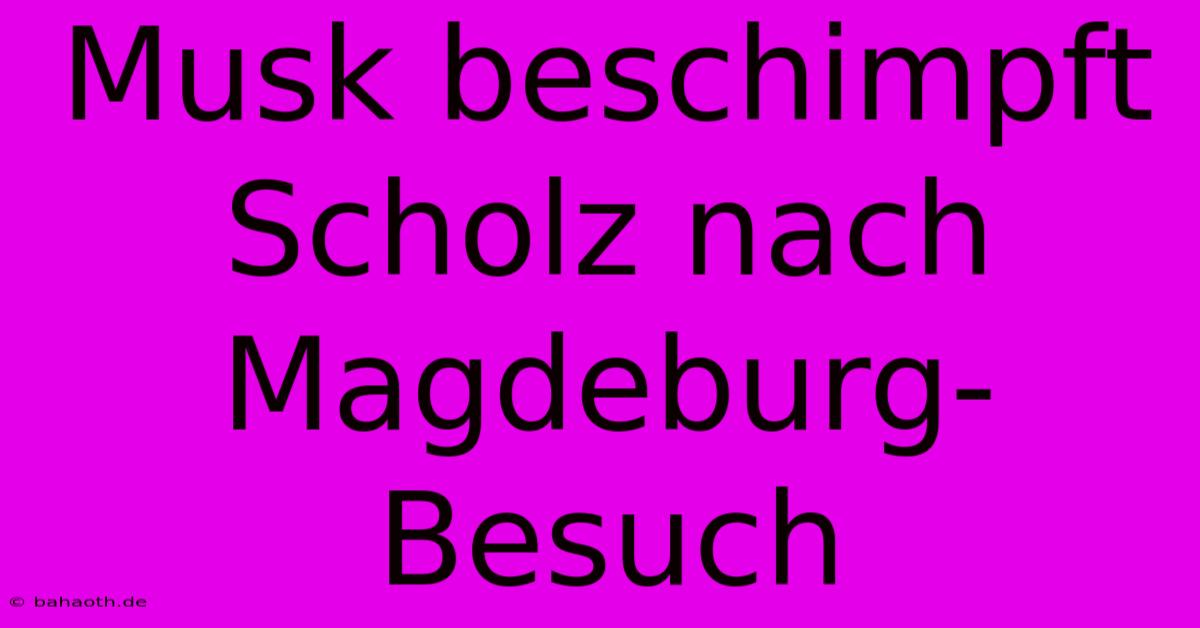 Musk Beschimpft Scholz Nach Magdeburg-Besuch