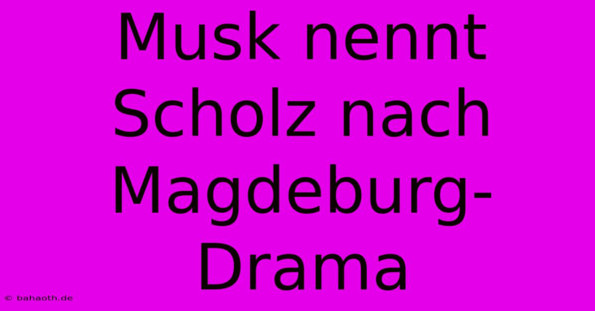 Musk Nennt Scholz Nach Magdeburg-Drama