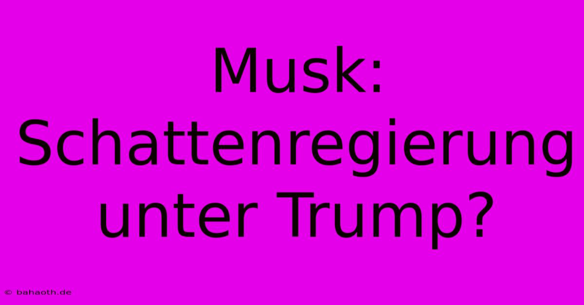 Musk: Schattenregierung Unter Trump?