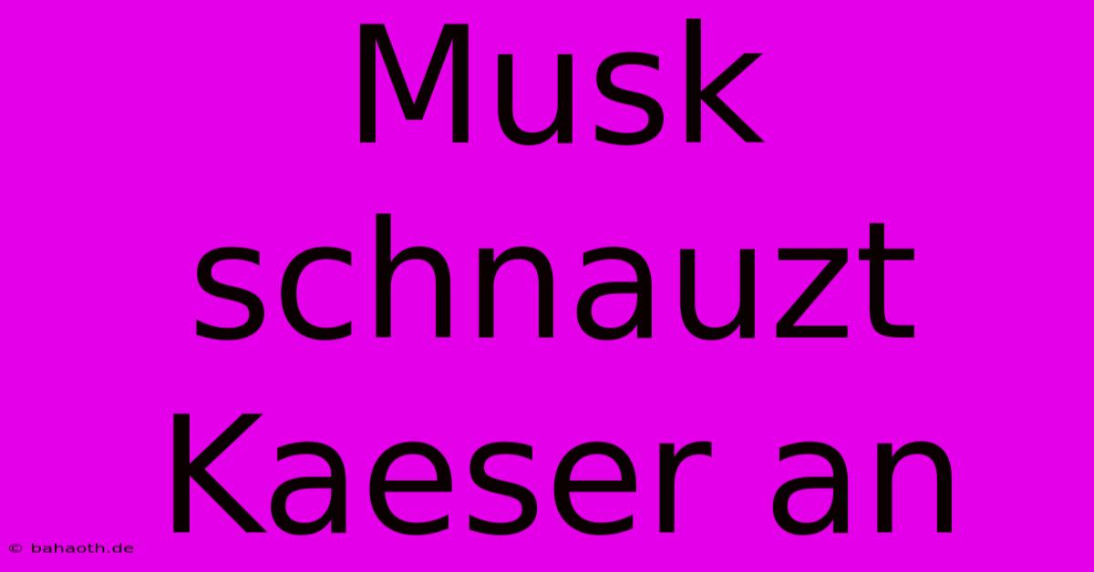 Musk Schnauzt Kaeser An