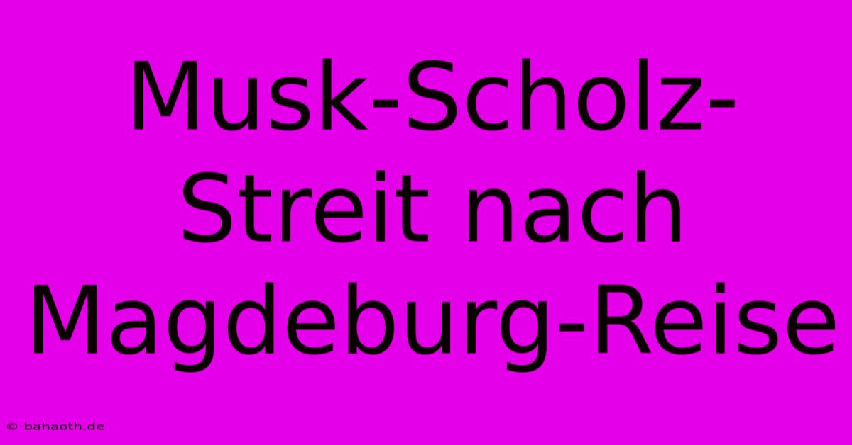 Musk-Scholz-Streit Nach Magdeburg-Reise