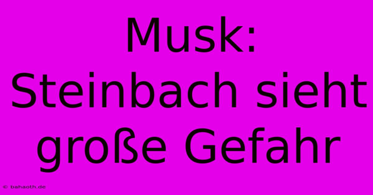 Musk: Steinbach Sieht Große Gefahr