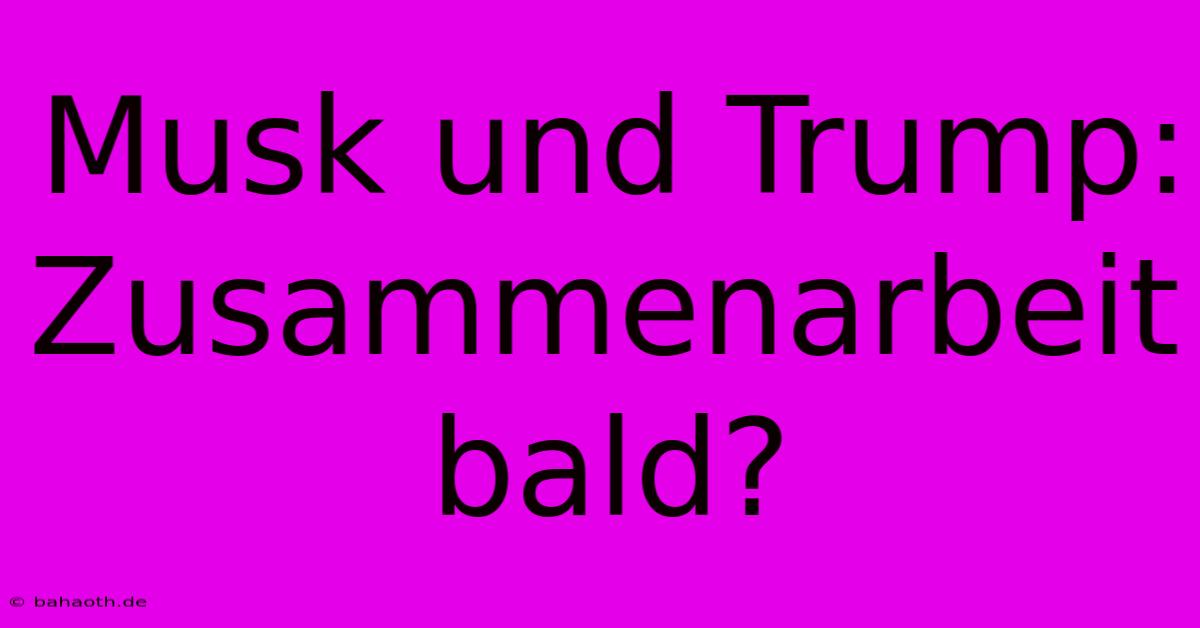 Musk Und Trump:  Zusammenarbeit Bald?