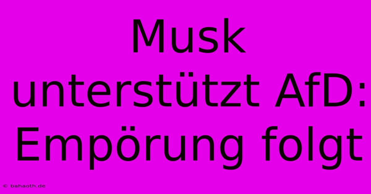 Musk Unterstützt AfD:  Empörung Folgt