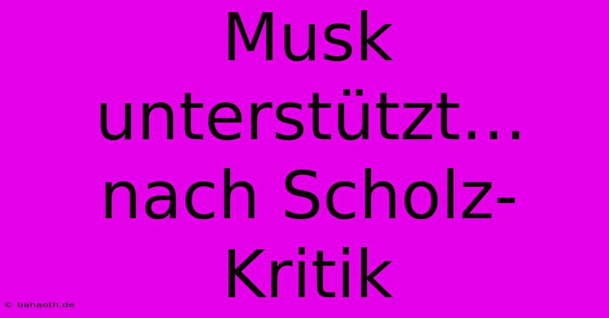 Musk Unterstützt… Nach Scholz-Kritik