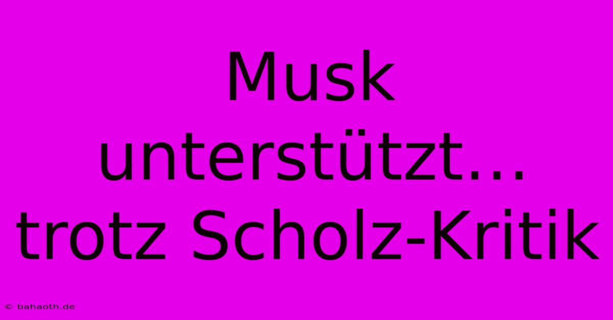 Musk Unterstützt… Trotz Scholz-Kritik