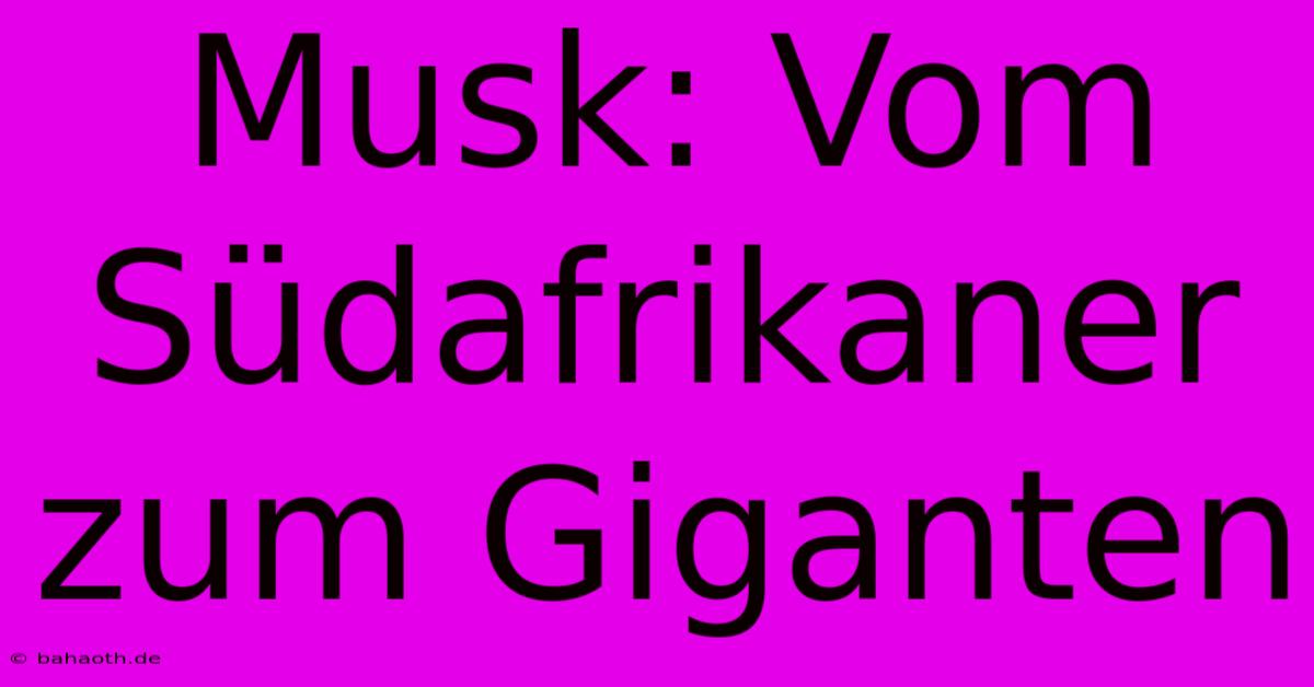 Musk: Vom Südafrikaner Zum Giganten