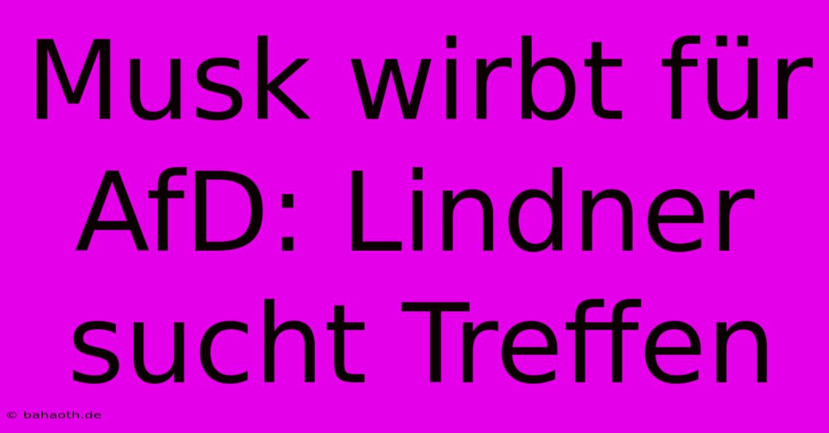 Musk Wirbt Für AfD: Lindner Sucht Treffen