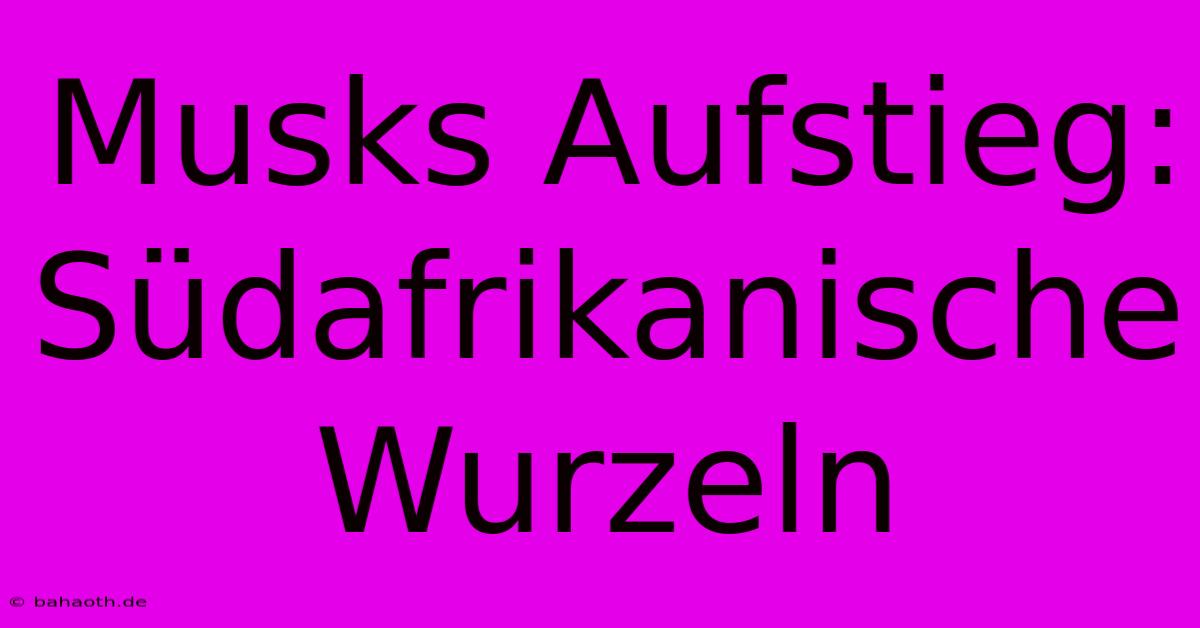 Musks Aufstieg: Südafrikanische Wurzeln