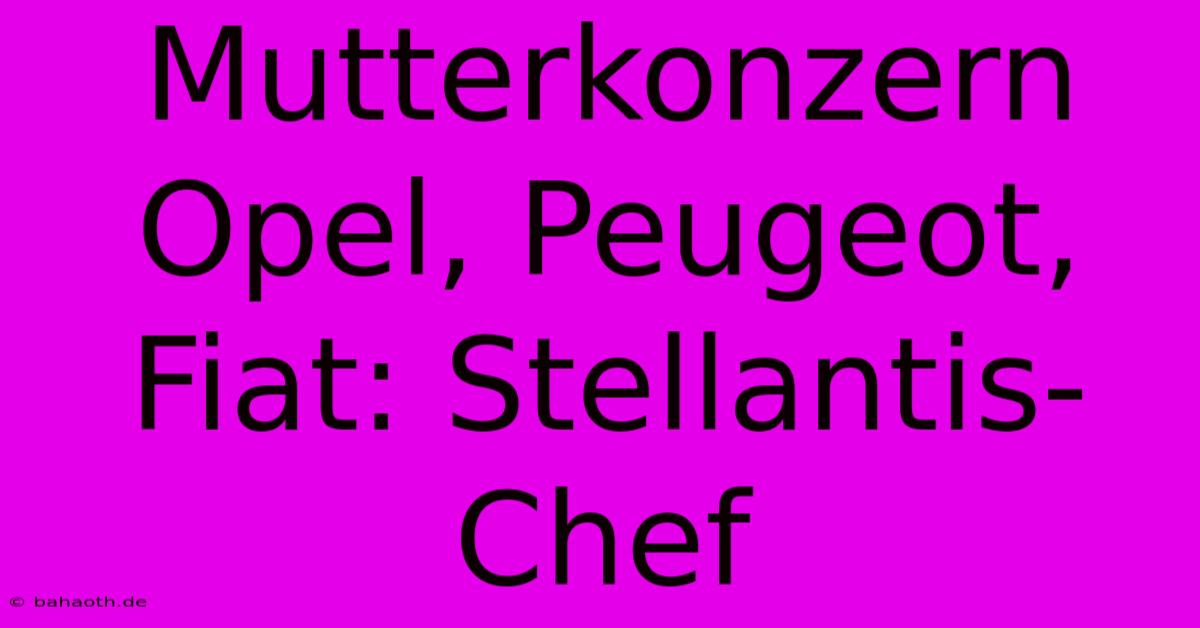 Mutterkonzern Opel, Peugeot, Fiat: Stellantis-Chef