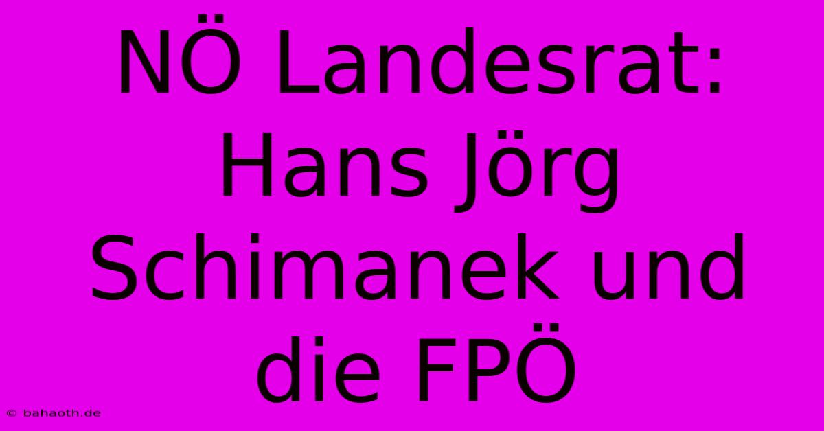 NÖ Landesrat:  Hans Jörg Schimanek Und Die FPÖ