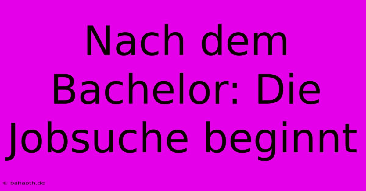 Nach Dem Bachelor: Die Jobsuche Beginnt