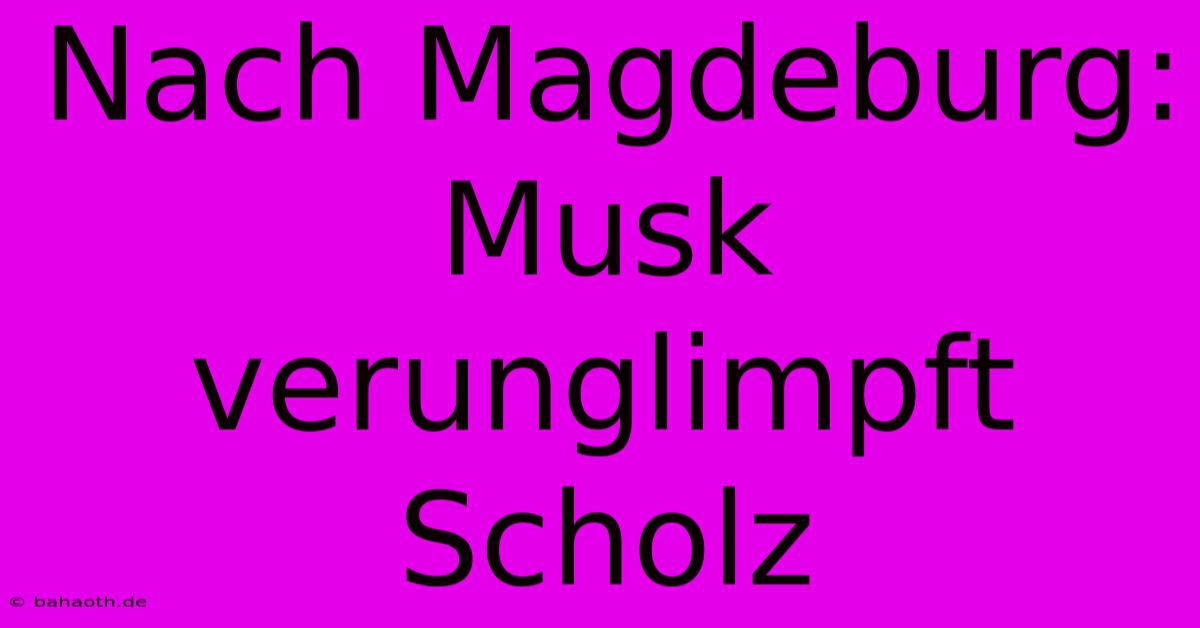 Nach Magdeburg: Musk Verunglimpft Scholz